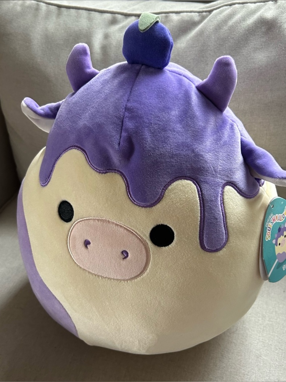 Benito the Blueberry Cow is a white, purple, and blue Squishmallow 12 inches
